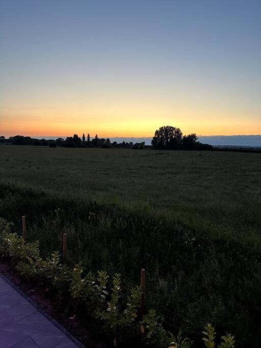 The Annex Glastonbury Tor View 外观 照片